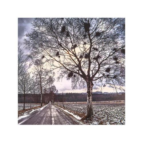 Infra topn&yacute; obraz Cesta u Trhov&eacute; Kamenice 60x60cm (300W), Bezr&aacute;mov&eacute; proveden&iacute;