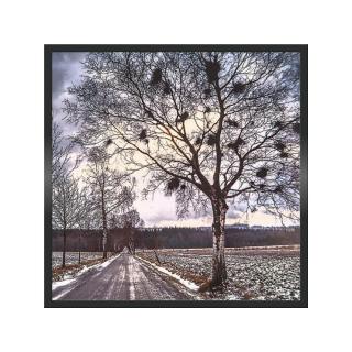 Infra topn&yacute; obraz Cesta u Trhov&eacute; Kamenice 60x60cm (300W), Bezr&aacute;mov&eacute; proveden&iacute; obr.1