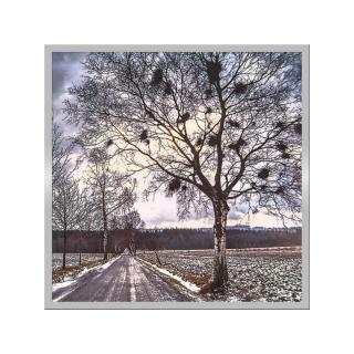 Infra topn&yacute; obraz Cesta u Trhov&eacute; Kamenice 60x60cm (300W), Bezr&aacute;mov&eacute; proveden&iacute; obr.2